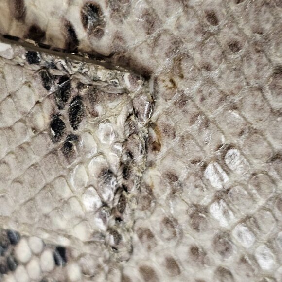 Y2K Cole Haan Python Snakeprint Leather Big Hobo Bag Purse Cream Taupe Buckles - Picture 11 of 16